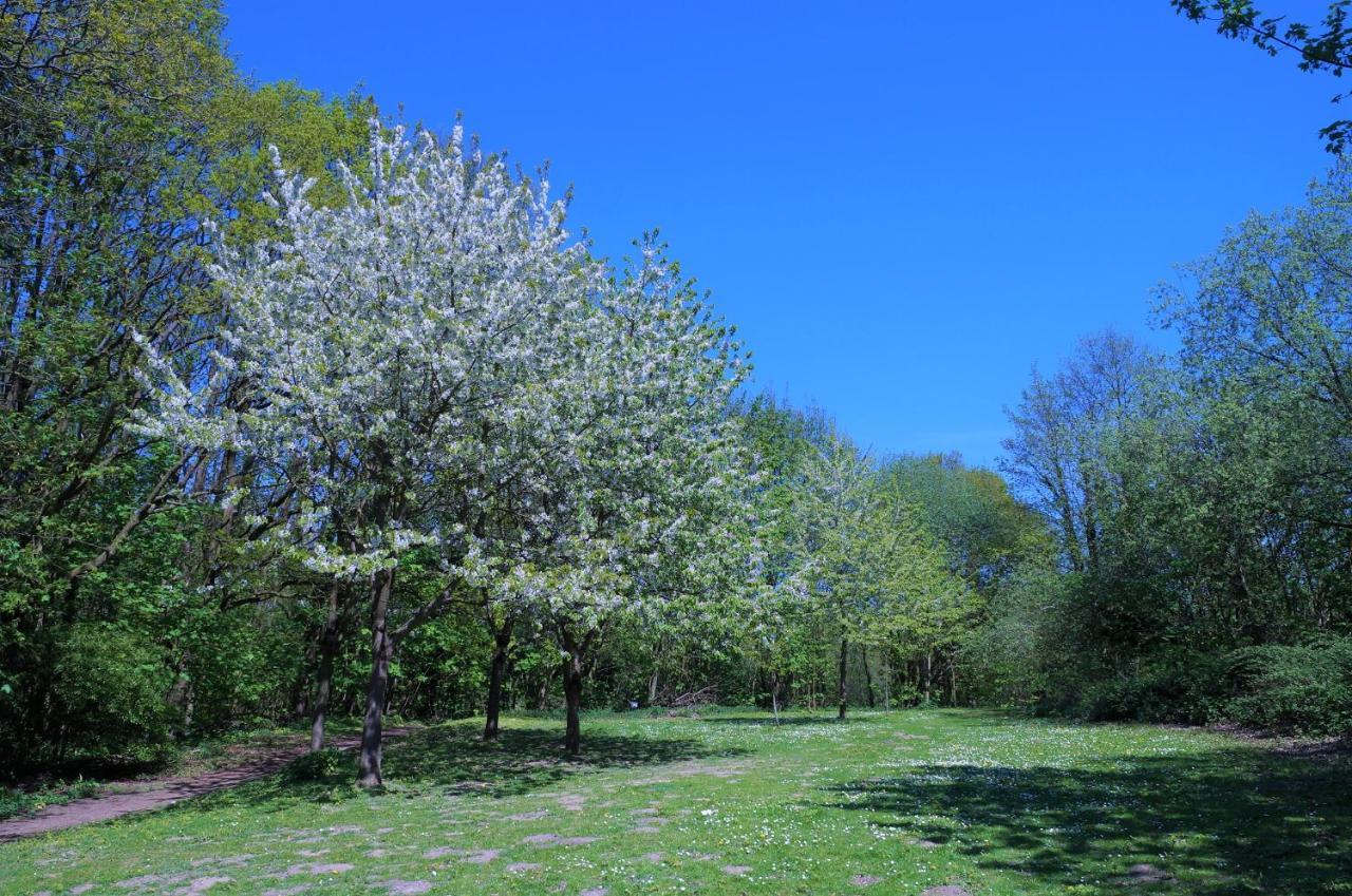 希尔克道夫Panoramic App B08-9公寓 外观 照片